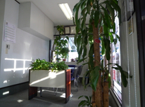 レンタルオフィス、シェアオフィス？