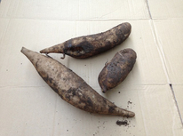 究極のダイエット食