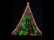 この時期恒例…