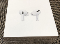 手に入れました！