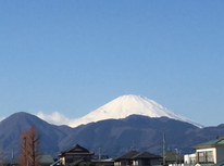 本年もよろしくお願い致します。