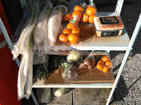 お野菜売っています！