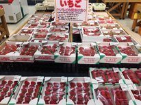 厚木のイチゴ！