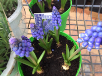 おすすめ花屋さん！