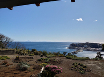 隠れ家的？なカフェ