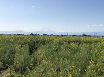 知らずに行ってみたら・・