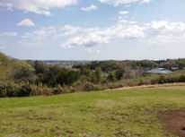 里山の丘の上から