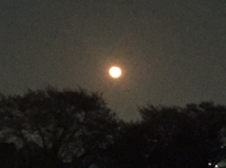 うまく撮れません…