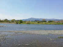 ウォーキング再開