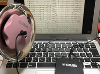 一人じゃつまらないですが