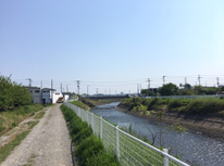 ウォーキング！