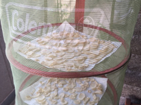 前から欲しかったもの！