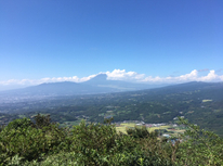 伊豆のミカン！