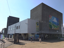 三崎のマグロ！