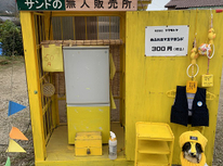 こんなところに