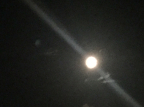 ビーバームーン！