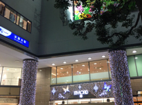 本厚木へお越し下さい！