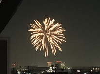 夜空に突然・・・