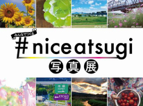 魅力の再発見に