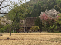 岐阜に行ったので…