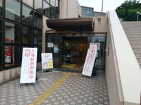 プール始めました