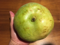 今年の梨が終了しました！