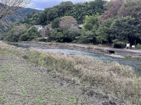 自然たっぷり…