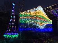 今年もイルミ中！