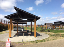 ウォーキング！