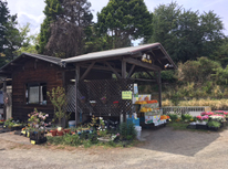 湘南ゴールド！