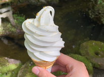 不格好なのがポイントです