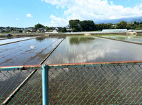気持ち良い天気