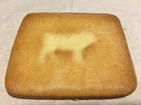 久しぶりのエシレ！