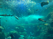 いいタイミングで