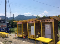 さつまいもサンド！？