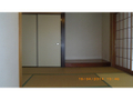  その他の写真 