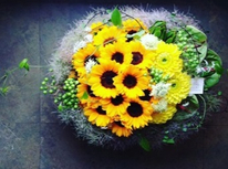 5月のイベント開催のお知らせ