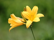 市街化調整区域の建築