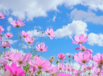 八戸店　オーナー様向けセミナー開催