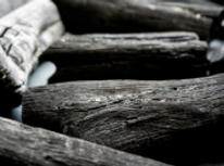 カラダにいい住まい