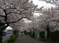 ☆墨田区　曳舟の日の丸不動産☆HPリニューアルのお知らせ