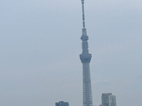 曳舟の日の丸不動産！通勤途中の荒川から見た今日のスカイツリー ！