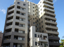 曳舟の日の丸不動産の物件紹介！東向島の2LDK売分譲マンション！！東向島ダイヤモンドマンション203