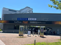 ラムセス大王展に行ってきました！