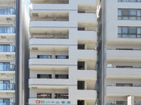 曳舟の日の丸不動産【曳舟駅徒歩5分】スカイツリーが見える2LDK賃貸｜浴室新品交換｜タケナカAP602号室｜墨田区東向島