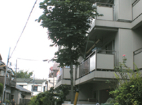 【曳舟の日の丸不動産】小村井駅徒歩3分｜2023年にフルリノベーション済み1LDK「コーポ小山303号室」募集中