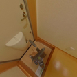 その他の写真  