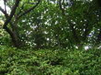 加賀前田家屋下敷跡にて想う事