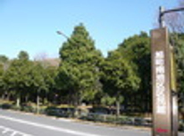 春が来ましたね！