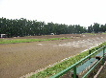 副都心線×大江戸線×西武池袋線＝練馬駅